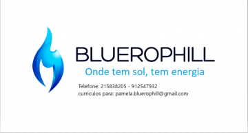 Ofertas de emprego de Bluerophill Lisboa