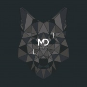 Mirror Revelation LDA