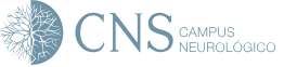 Ofertas de emprego de CNS Saúde, Lda