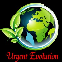 Ofertas de emprego de Urgent Evolution Lda